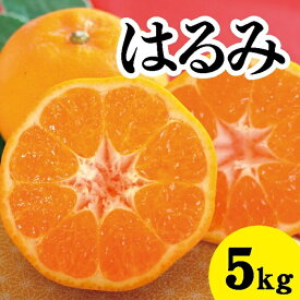 【ふるさと納税】みかん 柑橘【先行受付】【2026年2月以降発送】甘くてジューシー！瀬戸内さぎしまのはるみ ＜約5kg＞ 広島 三原 佐木島 鷺島みかんじま みかん 017022