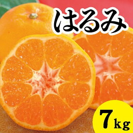 【ふるさと納税】みかん 柑橘 【先行受付】【2026年2月以降発送】甘くてジューシー！瀬戸内さぎしまのはるみ ＜約7kg＞ 広島 三原 佐木島 鷺島みかんじま みかん 017023