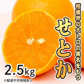 【ふるさと納税】みかん 柑橘【先行受付】【2026年2月下旬以降発送】果汁たっぷり甘さに満足 柑橘の大トロせとか ＜2.5kg＞ 広島 三原 佐木島 鷺島みかんじま 017020