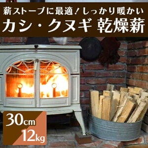yӂ邳Ɣ[ŁzdXg[uɍœKIguJVENkMvdi30cmj12kg AEghA Lv gF  002005