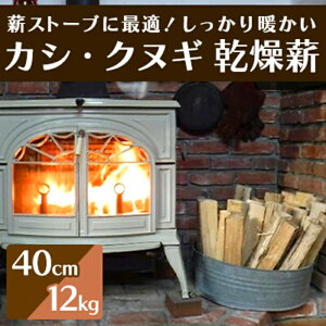 yӂ邳Ɣ[ŁzdXg[uɍœKIguJVENkMvdi40cmj12kg AEghA Lv gF  002006