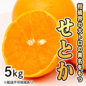 【ふるさと納税】みかん 柑橘【先行受付】【2026年2月下旬以降発送】果汁たっぷり甘さに満足 柑橘の大トロせとか ＜5kg＞ 広島 三原 佐木島 鷺島みかんじま 017021