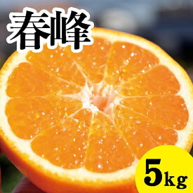 【ふるさと納税】みかん【先行受付】【2026年3月上旬以降発送】甘味が強くむきやすい 希少な品種 春峰 ＜約5kg＞ 広島 三原 佐木島 鷺島みかんじま 017025