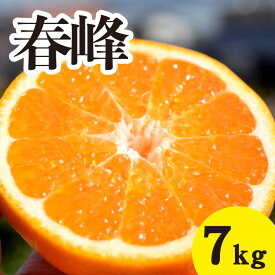 【ふるさと納税】みかん【先行受付】【2026年3月上旬以降発送】甘味が強くむきやすい 希少な品種 春峰 ＜約7kg＞ 広島 三原 佐木島 鷺島みかんじま 017026