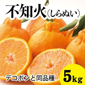 【ふるさと納税】みかん 柑橘【先行受付】【2026年3月以降発送】甘さ抜群しらぬい！デコちゃん【デコポンと同品種】＜約5kg＞ 広島 三原 佐木島 鷺島みかんじま 017027