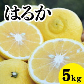【ふるさと納税】みかん【先行受付】【2026年3月中旬以降発送】濃厚な甘みに驚愕！ 瀬戸内のはるか＜約5kg＞広島 三原 佐木島 鷺島みかんじま 017029