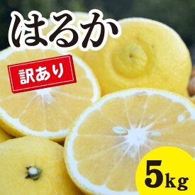 【ふるさと納税】みかん【先行受付】【2026年3月中旬以降発送】濃厚な甘みに驚愕！ 瀬戸内の訳ありはるか＜約5kg＞広島 三原 佐木島 鷺島みかんじま 017069