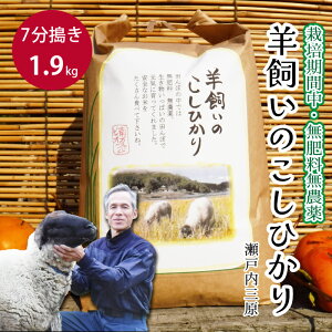 yӂ邳Ɣ[Łzy͔|ԒE엿_z˓O r̂Ђ7 1.9kg 2025N9{\ ˓rIt@[    002010