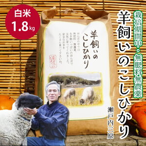 yӂ邳Ɣ[Łzy͔|ԒE엿_z˓O r̂Ђ  1.8kg 2025N9{\ ˓rIt@[    002016