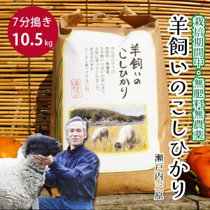 yӂ邳Ɣ[Łzy͔|ԒE엿_z˓O r̂Ђ 7 10.5kg 2025N9{\ ˓rIt@[    002012