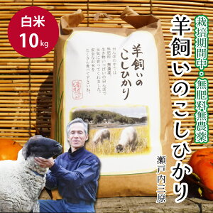 yӂ邳Ɣ[Łzy͔|ԒE엿_z˓O r̂Ђ  10kg 2025N9{\ ˓rIt@[    002013