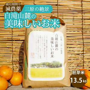 yӂ邳Ɣ[Łz͔|Ԓ_ O̐iR[̔  13.5kg 2025N10\ ˓rIt@[    002008