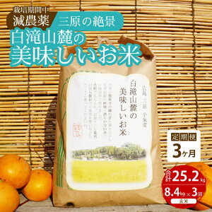 yӂ邳Ɣ[Łzy3ցz͔|Ԓ_ O̐iR[̔  8.4kg×3 2025N10\ ˓rIt@[    002028