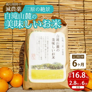 yӂ邳Ɣ[Łzy6ցz͔|Ԓ_ O̐iR[̔  2.8kg×6 2025N10\ ˓rIt@[    002036