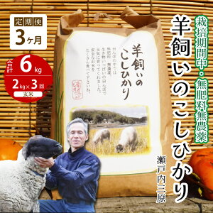 yӂ邳Ɣ[Łzy3ցzs͔|ԒE엿_t˓O r̂Ђ  2kg×3 2025N9{\ ˓rIt@[    002030