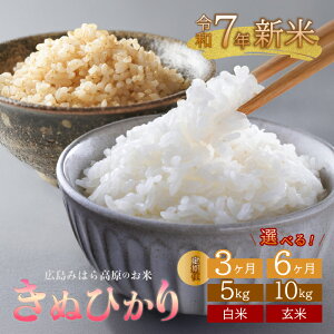yӂ邳Ɣ[Łzsߘa7NVātyցzʂЂ Iׂ鐸ĎʁEeʁE āiāj܂͌ 5kg܂10kg 3(3)܂6(6)    ͂  L O