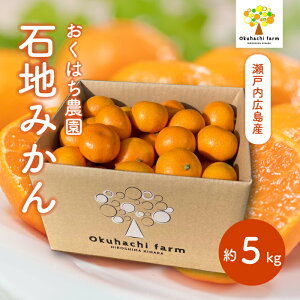 yӂ邳Ɣ[Łzy͂_zΒn݂ 5kg s2025N12\t͔|Ԓ h bNX sgp { k 񂫂 t[c ʕ ˓ 166004