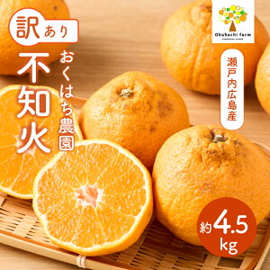 yӂ邳Ɣ[Łzy͂_zq󂠂rsm΁iʂj 4.5kg s2026N3`4\t͔|Ԓ h bNX sgp { k 񂫂 t[c ʕ ˓ 166010