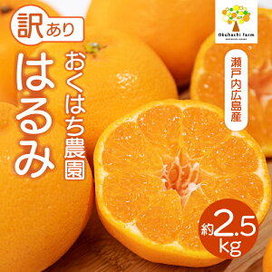 yӂ邳Ɣ[Łzy͂_zq󂠂r͂ 2.5kg s2026N2`3\t ͔|Ԓ h bNX sgp { k 񂫂 t[c ʕ ˓ 166007