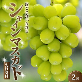 【ふるさと納税】【先行受付】久和田農園の朝採り シャインマスカット 2房 マスカット ぶどう ブドウ 果物 フルーツ 広島県 三原市 034003