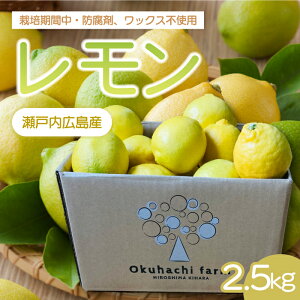 �y�ӂ邳�Ɣ[�Łz�y�����͂��_���z������ 2.5kg �s2025�N11���`2026�N3�������\��t�͔|���Ԓ� �h���� ���b�N�X �s�g�p �{ ���k ���񂫂� �t���[�c �ʕ� 166021