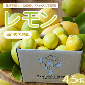 �y�ӂ邳�Ɣ[�Łz�y�����͂��_���z������ 4.5kg �s2025�N11���`2026�N3�������\��t�͔|���Ԓ� �h���� ���b�N�X �s�g�p �{ ���k ���񂫂� �t���[�c �ʕ� 166022