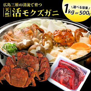 yӂ邳Ɣ[ŁzystzLY VRNYKjiIXEXj500g ܂ 1kg 2025N1216\ VR TCY Y I I Kj CI g X`  