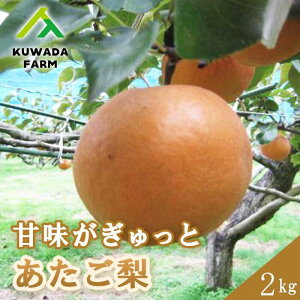 yӂ邳Ɣ[Łzyvac_z Ö  2kg Ȃ t[c  ʕ LOs 034009