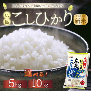 yӂ邳Ɣ[Łzsߘa7NVātقāua̗vLЂ  5kg܂10kg    ߘa7NY 066001-r