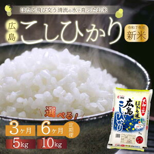 yӂ邳Ɣ[Łzsߘa7NVātyցzقāua̗vLЂ  5kg܂10kg 3i3j܂6i6j    ߘa7NY 066002-r