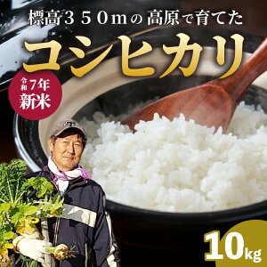 yӂ邳Ɣ[Łzyߘa7NVāzRVqJ āiāj10kg Ђ ͂   ɂ 181001