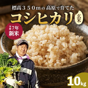 yӂ邳Ɣ[Łzyߘa7NVāzRVqJ  10kg V RVqJ Ђ ͂   181003