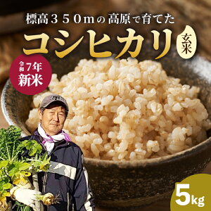 yӂ邳Ɣ[Łzyߘa7NVāzRVqJ  5kg Ђ ͂   181004