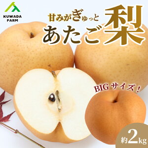 yӂ邳Ɣ[Łzyvac_z Ö  2kg Ȃ t[c  ʕ LOs 034009