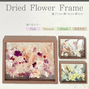 yӂ邳Ɣ[ŁzyARI{zhCt[t[  CeA  u j Mtg  226001-r