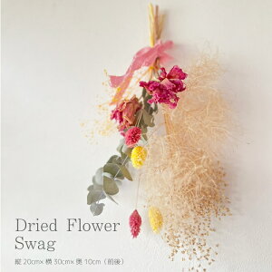 yӂ邳Ɣ[ŁzyARI{zG߂̃hCt[XbO  CeA  u j Mtg  226005