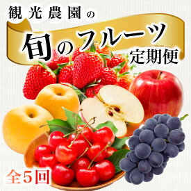 【ふるさと納税】《2026年度先行受付》【フルーツ定期便全5回】 さくらんぼ 梨 ぶどう りんご いちご 豪華フルーツ 詰め合わせ 採れたて 新鮮 産地直送 広島県 三原市 059021