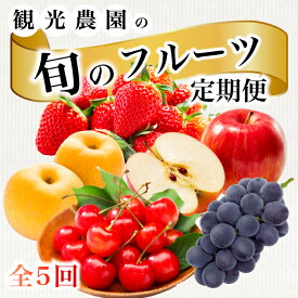 【ふるさと納税】《2026年度先行受付》【フルーツ定期便全5回】 大容量 さくらんぼ 梨 ぶどう りんご いちご 2026年6月～発送 豪華フルーツ 詰め合わせ 採れたて 新鮮 産地直送 果物 広島県 三原市 059014
