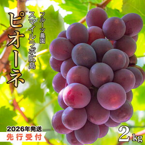 �y�ӂ邳�Ɣ[�Łz�y��s��t�z�s�I�[�l2kg 2026�N8�����{�ȍ~���������\�� �Ԃǂ� �u�h�E ���� �s�I�[�l �ʕ� �t���[�c �V�N �Y�n���� �L�����O���s 059002