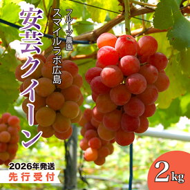 【ふるさと納税】【先行受付】安芸クイーン 2kg 2026年9月上旬以降順次発送予定 ブドウ 葡萄 ぶどう フルーツ 果物 安芸クイーン 新鮮 産地直送 広島県三原市 059006