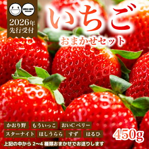 �y�ӂ邳�Ɣ[�Łz�y��s��t�z�t���[�c�_���̂��܂��� �` ������ �` 450g 2026�N3�����{�ȍ~�����\�� �C�`�S � �t���[�c �ʕ� �L���� �O���s 059022