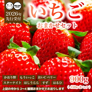 �y�ӂ邳�Ɣ[�Łz�y��s��t�z�t���[�c�_���̂��܂��� �` ������ �` 450g×2�p�b�N 2026�N3�����{�ȍ~�����\�� �C�`�S � �t���[�c �ʕ� �L���� �O���s 059023