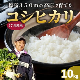 【ふるさと納税】【令和7年】コシヒカリ 精米（白米）10kg こしひかり ごはん お米 米 おにぎり 181001