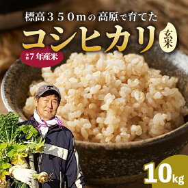 【ふるさと納税】【令和7年】コシヒカリ 玄米 10kg 新米 コシヒカリ こしひかり ごはん お米 米 181003