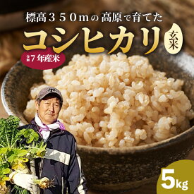 【ふるさと納税】【令和7年】コシヒカリ 玄米 5kg こしひかり ごはん お米 米 181004