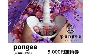 yӂ邳Ɣ[Łz`Pbg L pongee e {p 5,000~ tFPA  Ջ e T 5000~ L Os 129002