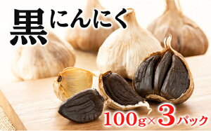 yӂ邳Ɣ[Łzɂɂ 100g×3pbN Zbg (2) ɂɂ Hi 118002