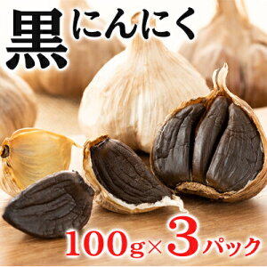 yӂ邳Ɣ[Łzɂɂ 100g×3pbN Zbg (2) ɂɂ Hi 118002