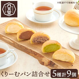 【ふるさと納税】くりーむパン 5種 計9個 詰合せ 八天堂 クリームパン カスタード 生クリーム 抹茶 小倉 チョコレート 133002