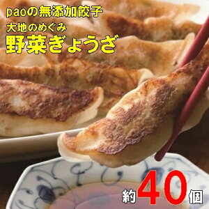 yӂ邳Ɣ[Łzpao̖YLqun̂߂ ؂傤v840g(40) Lq M[U y Ⓚ  _S  ܂ Y 058007